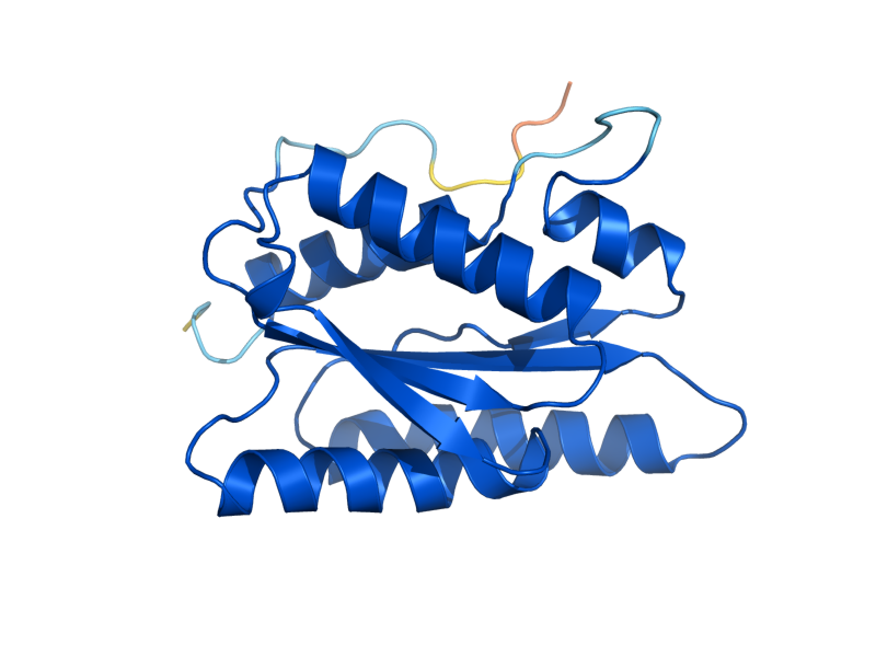 AlphaFold predicted structure of RIB4
