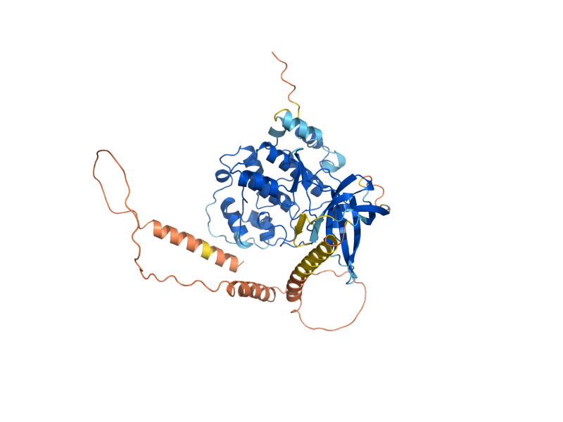 AlphaFold predicted structure of MRK1