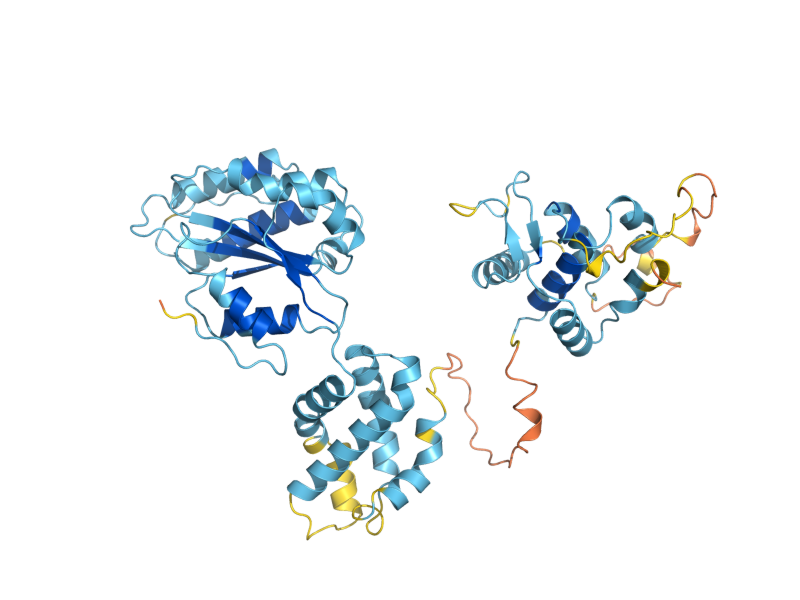 AlphaFold predicted structure of ORC5
