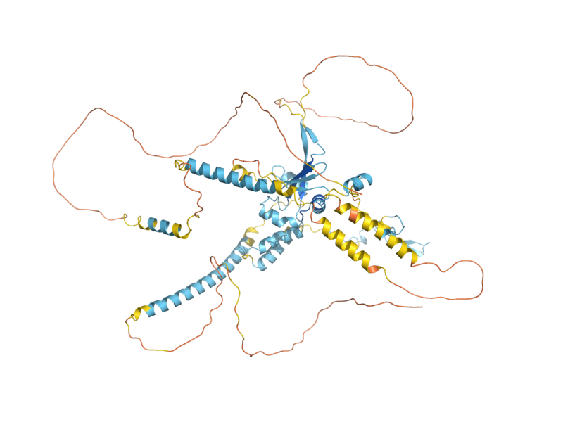 AlphaFold predicted structure of SPT20