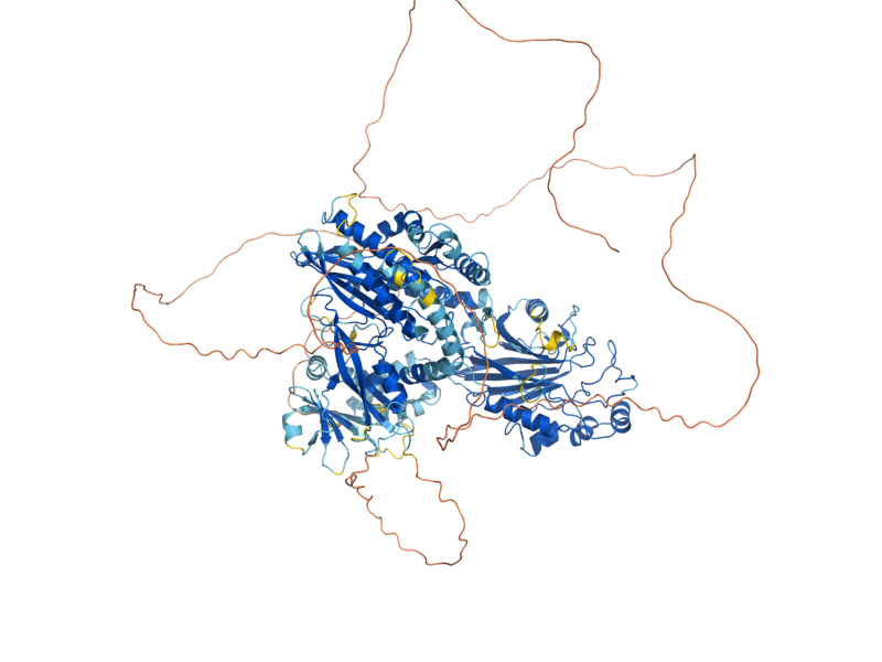 AlphaFold predicted structure of INP52