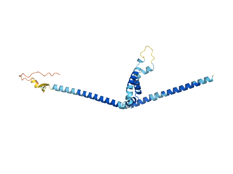 AlphaFold predicted structure of MIC27