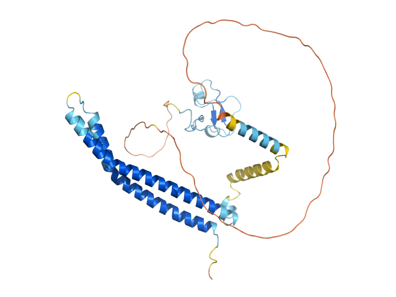 AlphaFold predicted structure of PHO23