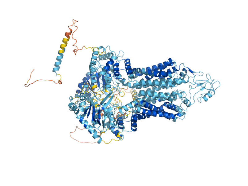 AlphaFold predicted structure of PDR10
