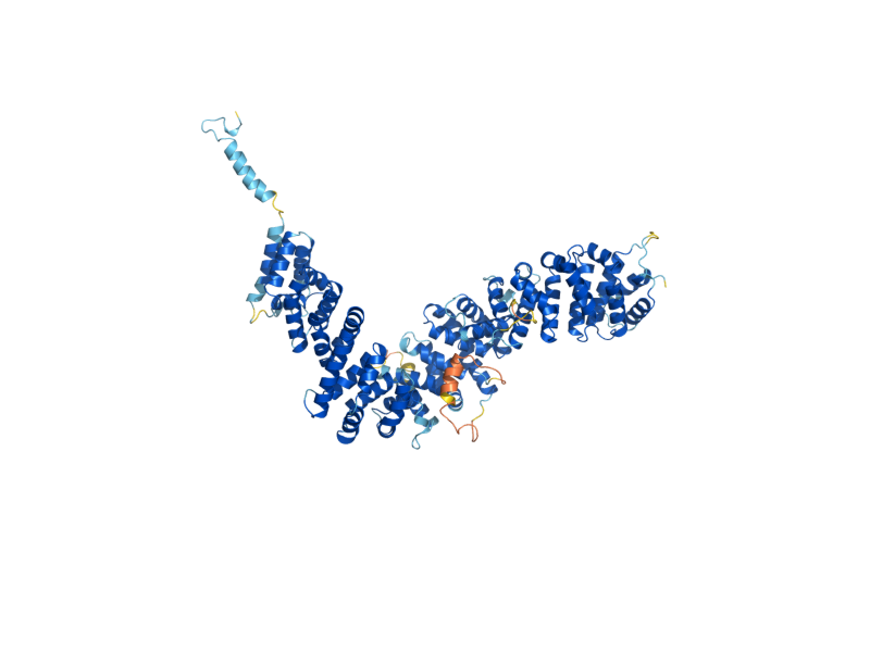 AlphaFold predicted structure of SHE4