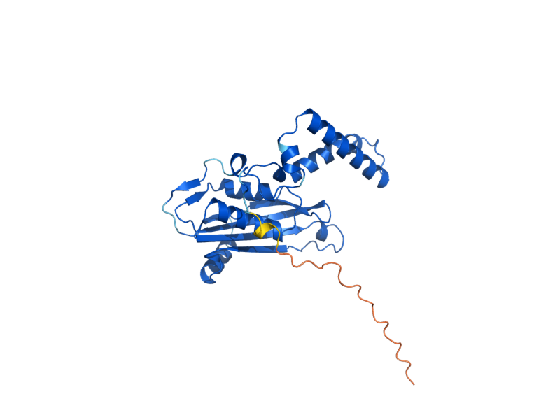 AlphaFold predicted structure of FOL2