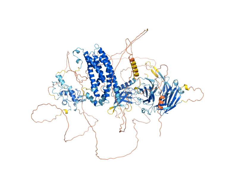 AlphaFold predicted structure of ROM2
