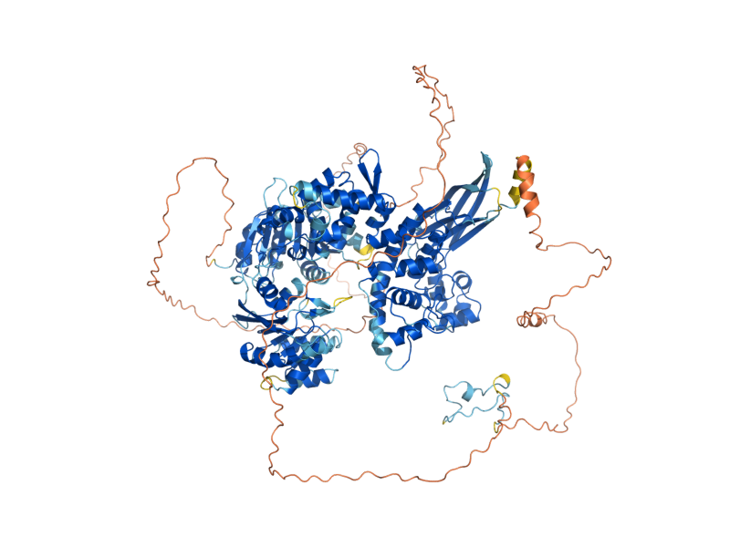 AlphaFold predicted structure of HFM1
