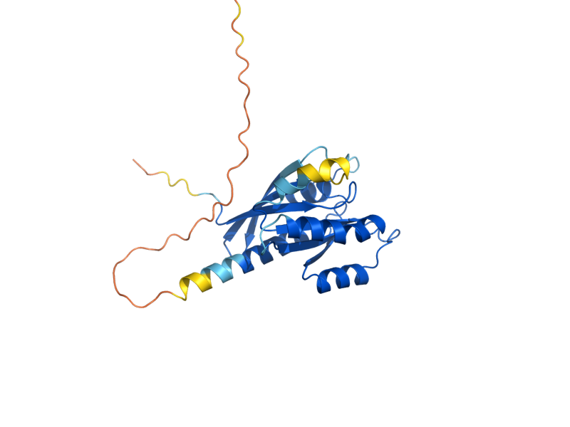 AlphaFold predicted structure of YPT32
