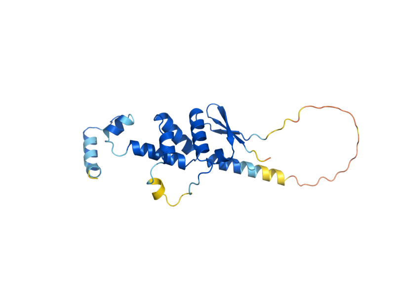 AlphaFold predicted structure of SKP1