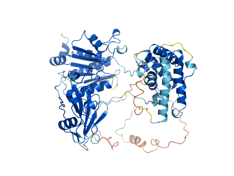 AlphaFold predicted structure of UBA2