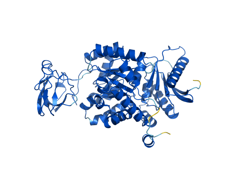 AlphaFold predicted structure of PYK2