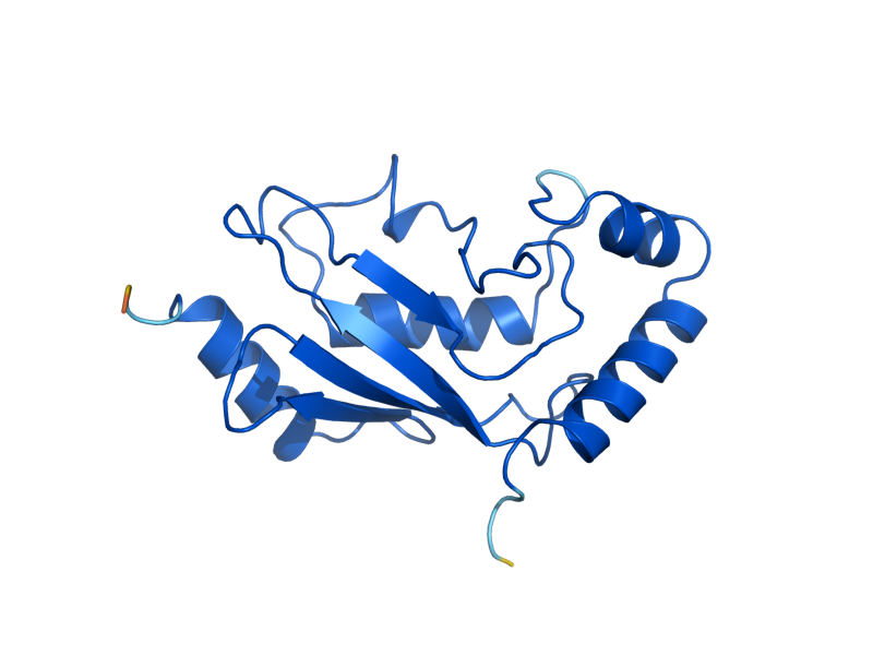 AlphaFold predicted structure of UBC13