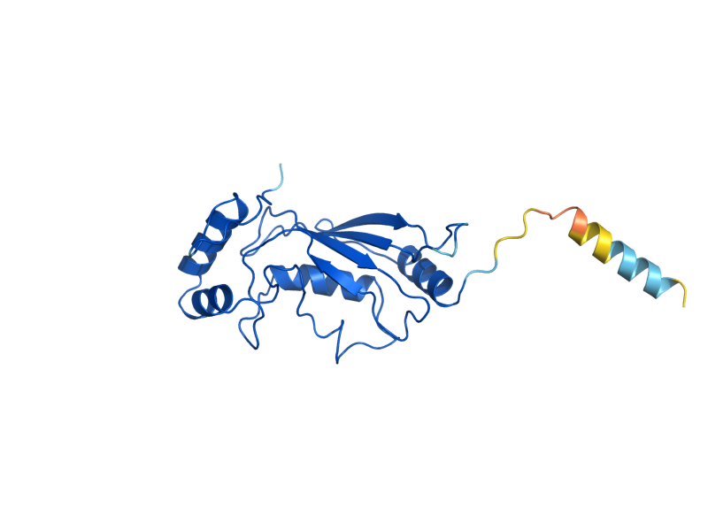 AlphaFold predicted structure of UBC12