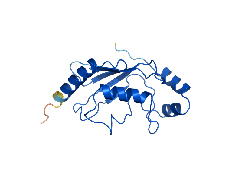AlphaFold predicted structure of UBC11