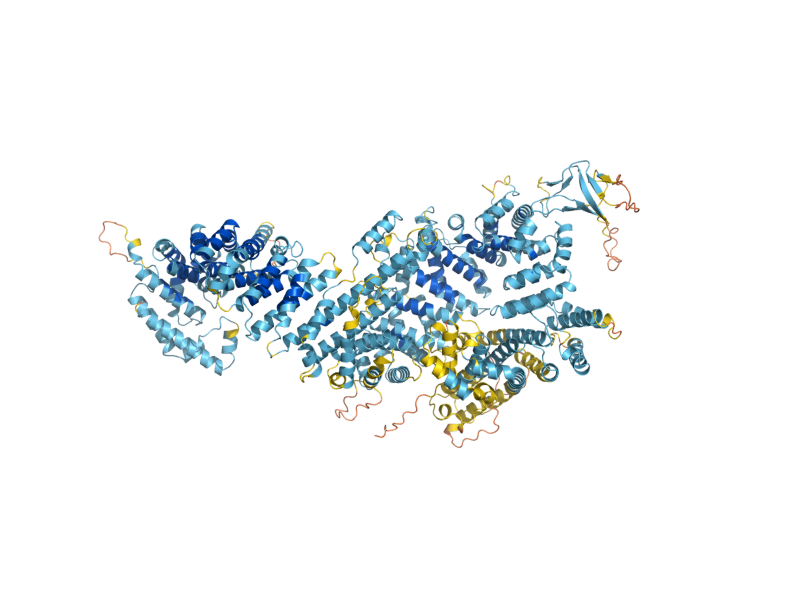 AlphaFold predicted structure of NUP188