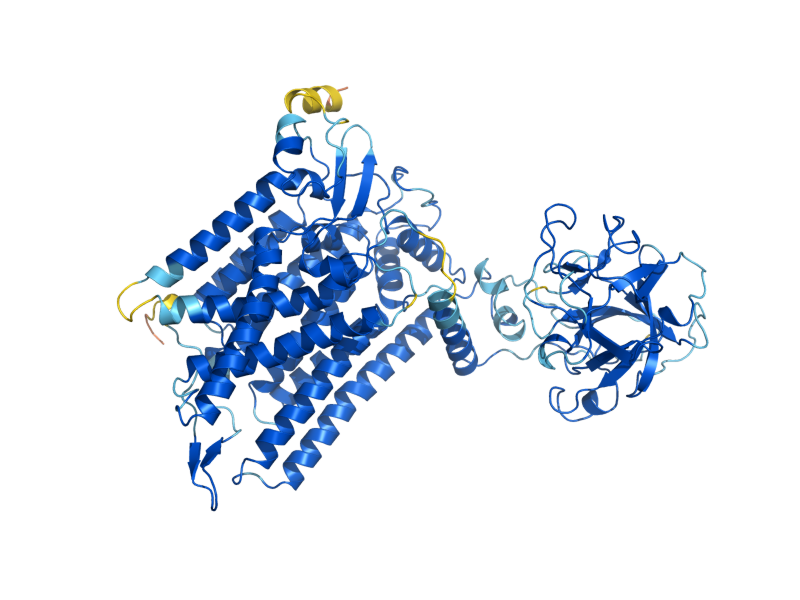AlphaFold predicted structure of PMT5