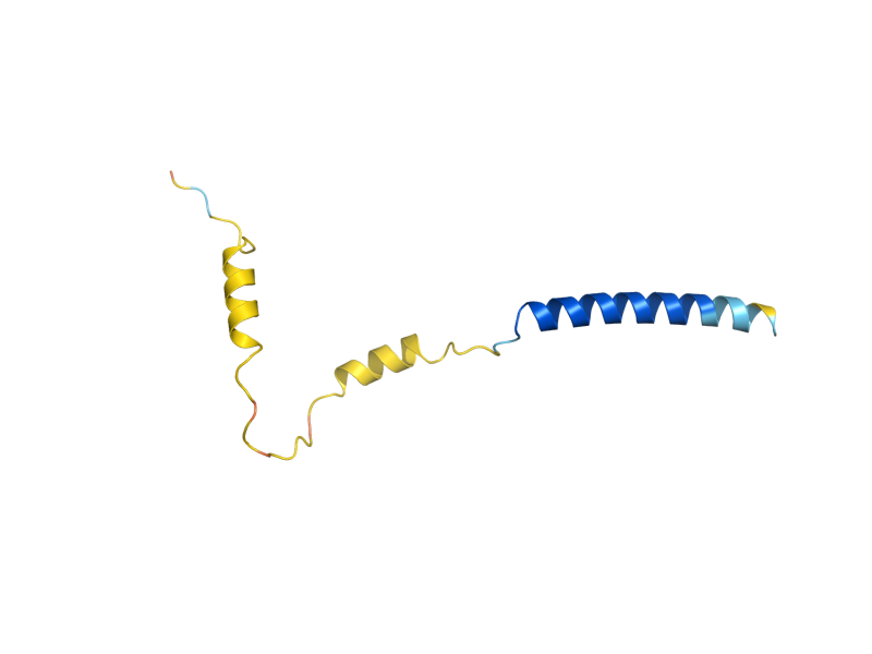 AlphaFold predicted structure of SBH1