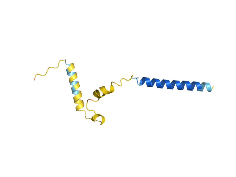 AlphaFold predicted structure of SBH2