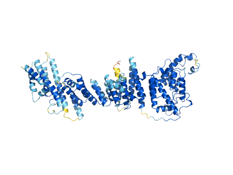AlphaFold predicted structure of NUP84