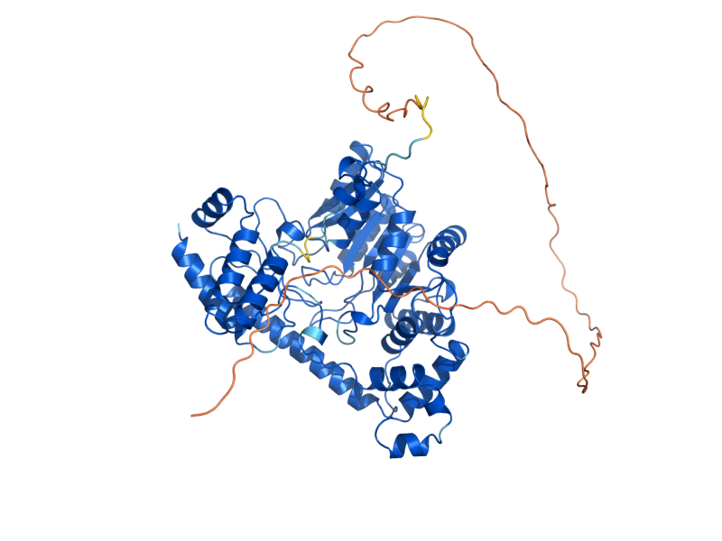 AlphaFold predicted structure of ALT1