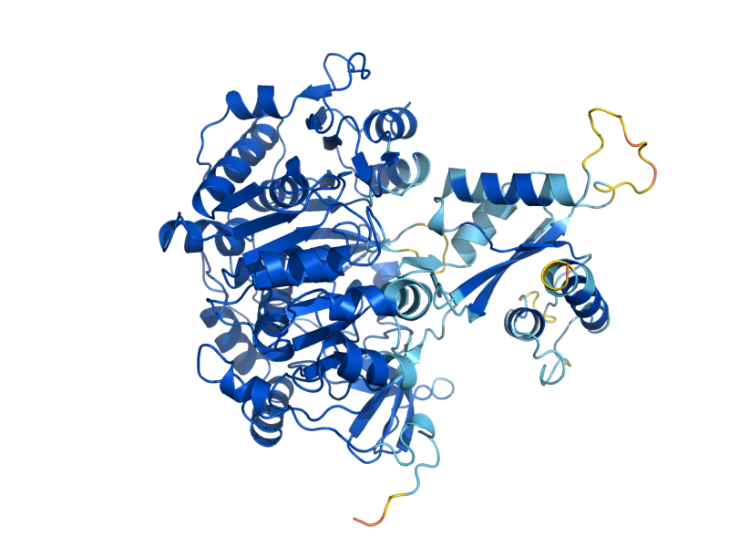 AlphaFold predicted structure of ACS2
