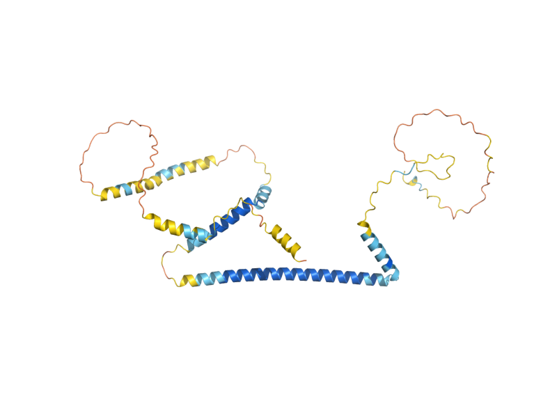AlphaFold predicted structure of NBP1