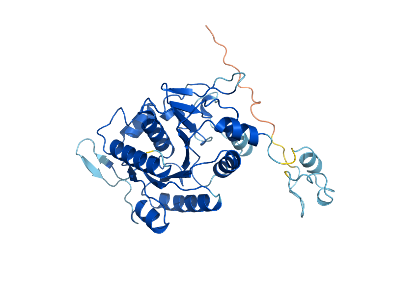 AlphaFold predicted structure of NBP35