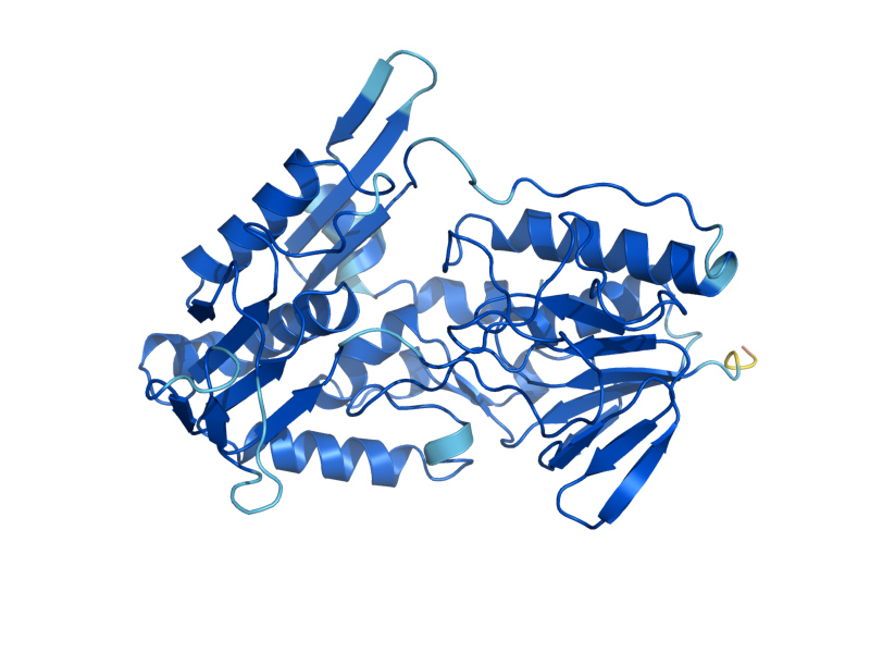 AlphaFold predicted structure of AIF1
