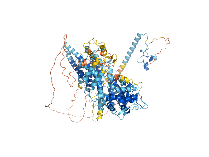 AlphaFold predicted structure of PIP2