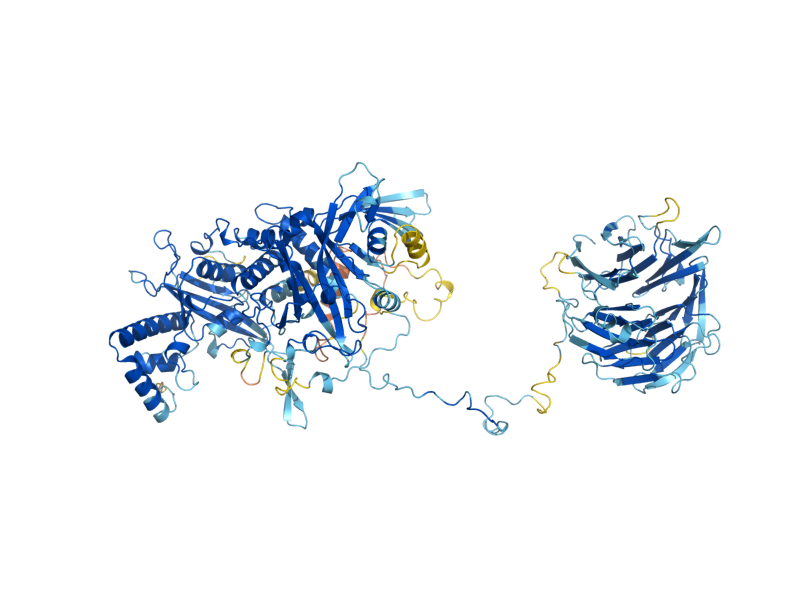 AlphaFold predicted structure of PAN2