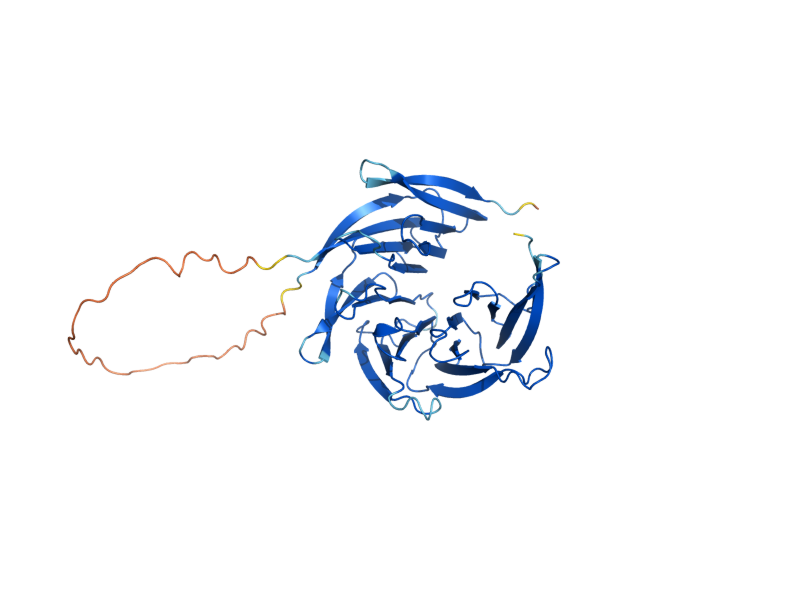 AlphaFold predicted structure of SEH1