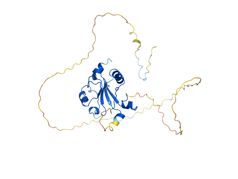 AlphaFold predicted structure of SUT1
