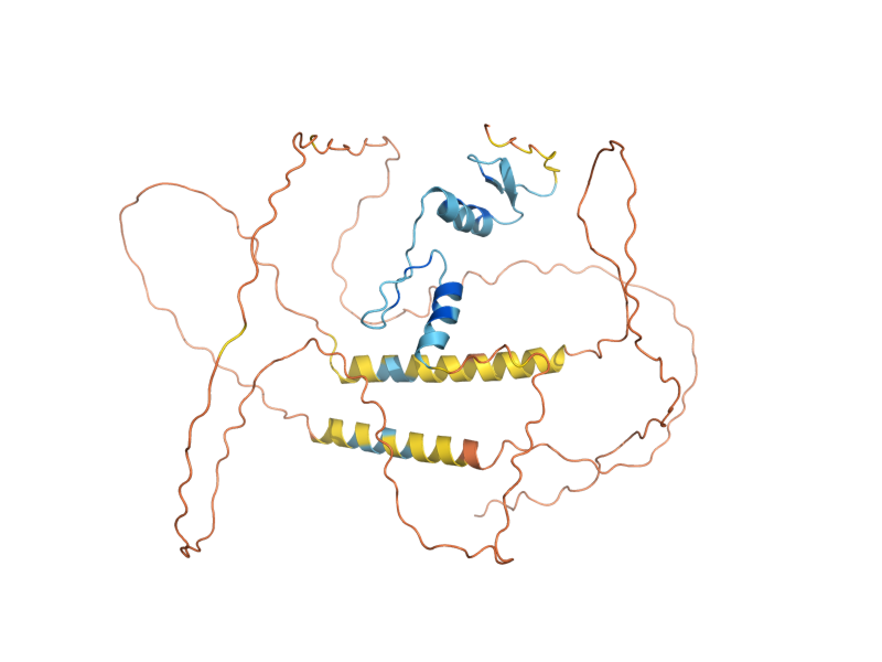 AlphaFold predicted structure of MIG2