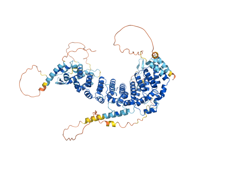 AlphaFold predicted structure of SAP4