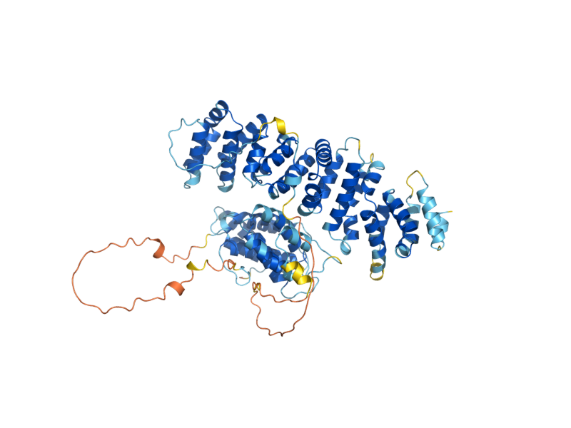 AlphaFold predicted structure of TEL2