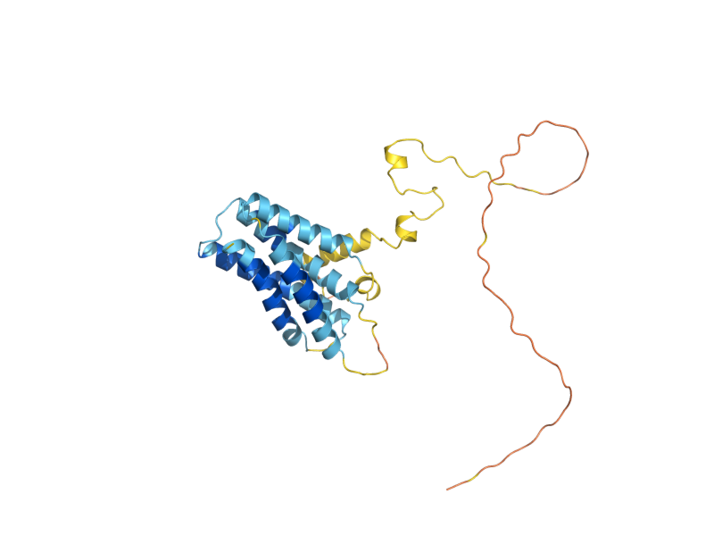 AlphaFold predicted structure of YIP1