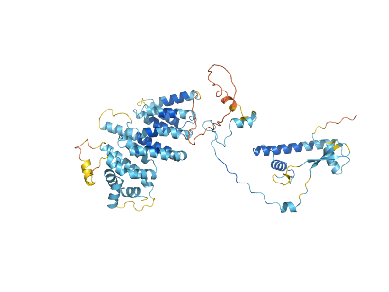 AlphaFold predicted structure of TAF6