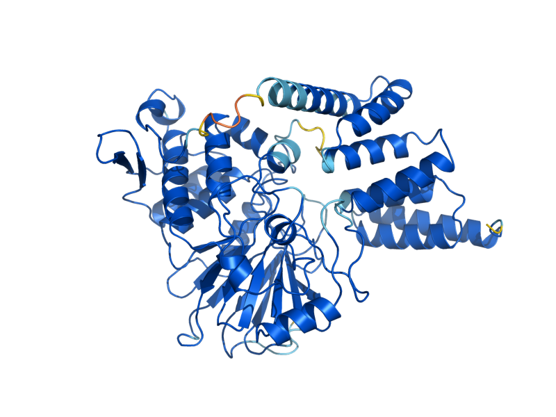 AlphaFold predicted structure of PPT1