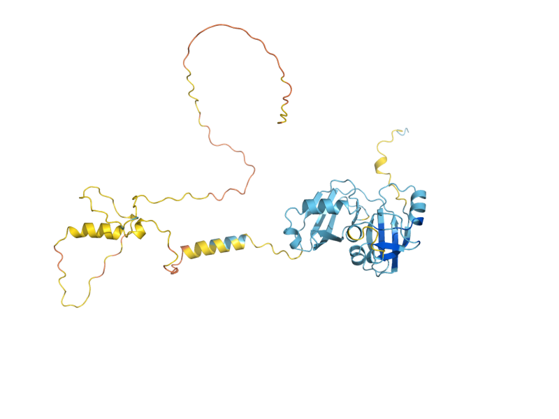 AlphaFold predicted structure of UFD1