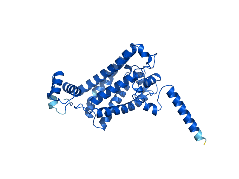 AlphaFold predicted structure of ERG25