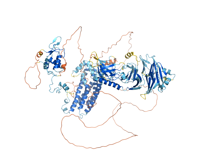AlphaFold predicted structure of ROM1