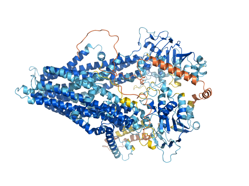AlphaFold predicted structure of YOR1
