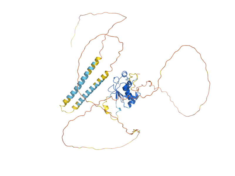 AlphaFold predicted structure of MGA1