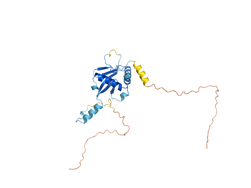 AlphaFold predicted structure of RMR1