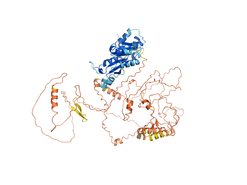 AlphaFold predicted structure of ZIP2