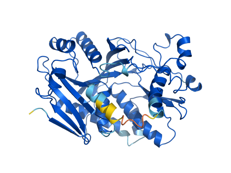 AlphaFold predicted structure of RAI1