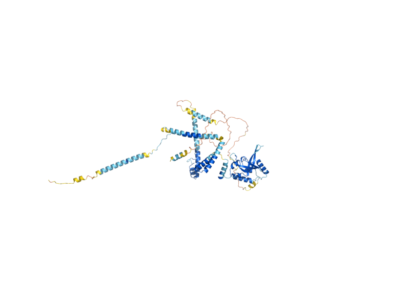AlphaFold predicted structure of RTF1