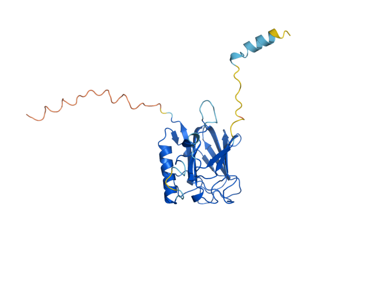 AlphaFold predicted structure of DOC1