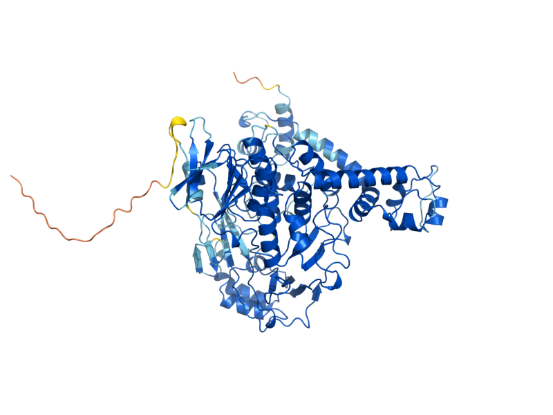 AlphaFold predicted structure of MTO1